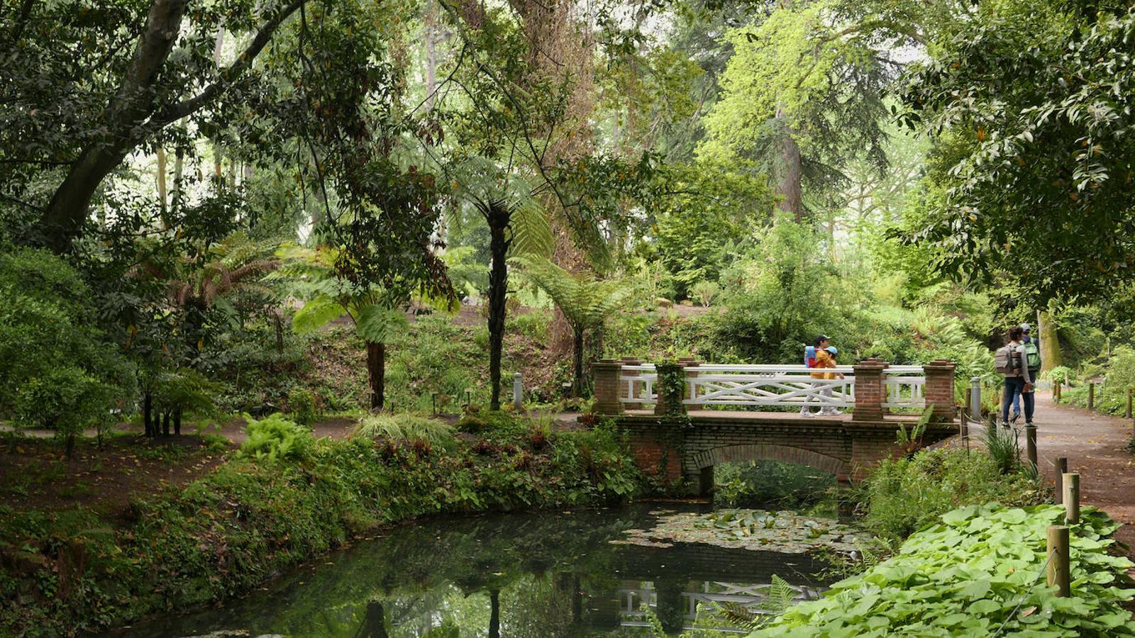 El Jardín Botánico de Gijón será el primero del país en integrarse en una red internacional que estudia cómo afecta el clima a las especies vegetales. Se marcan dos años para llevarlo a cabo y también para relanzarlo y que se convierta en un centro de referencia en conservación de especies y hábitats vegetales, tanto en España como en Europa.