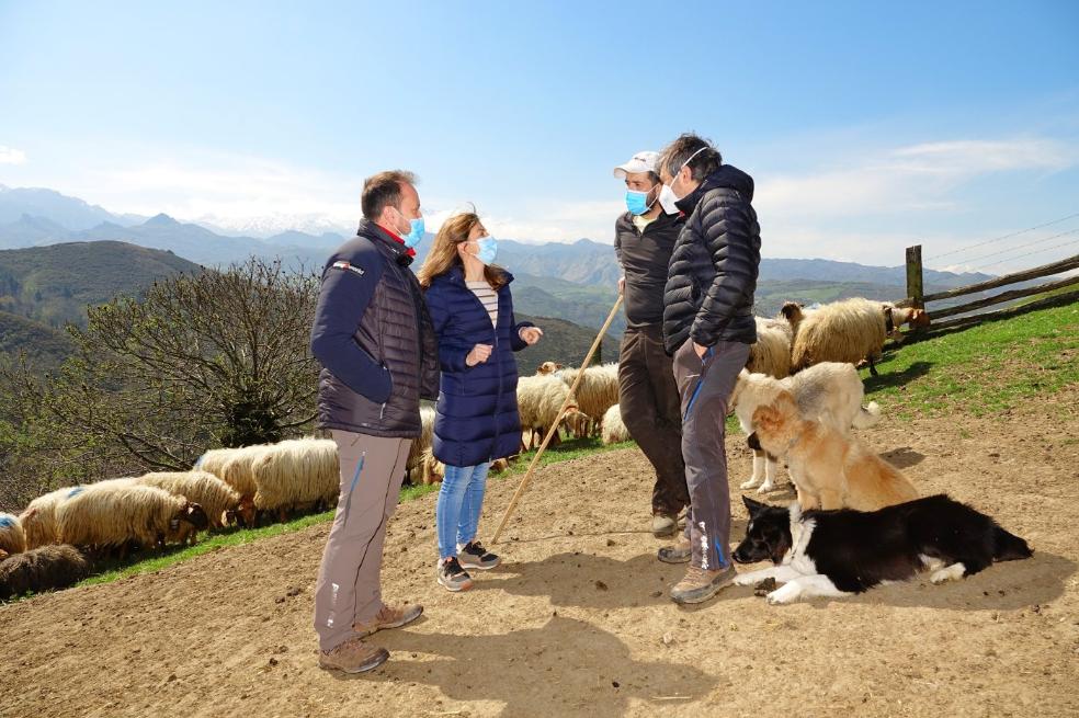  Gerardo Báguena, Paula Díaz-Caneja, Rubén Remis y Javier Gil conversan junto al rebaño y con los Picos de Europa de fondo. 