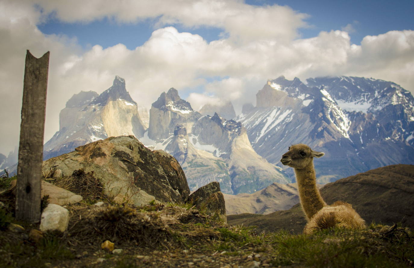 Cuernos del Paine (Patagonia)