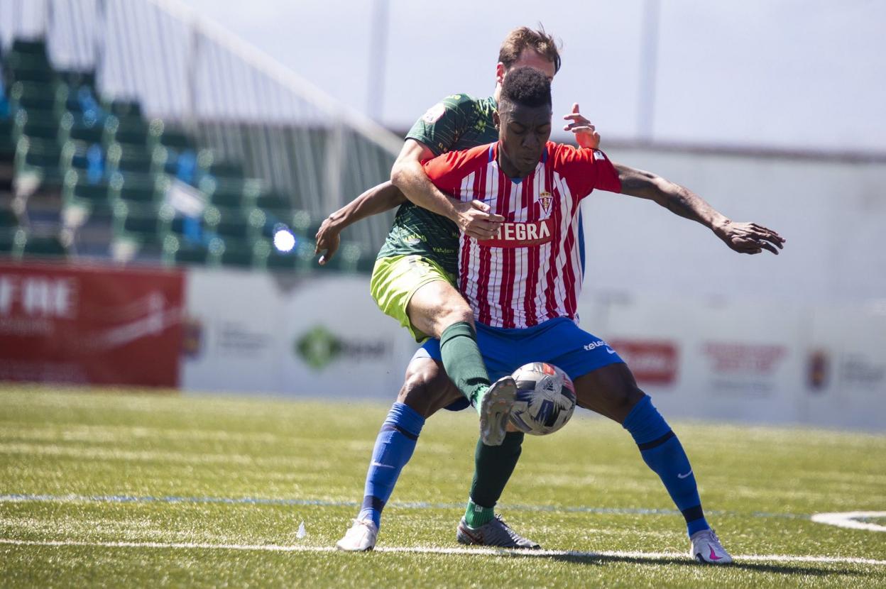 El sportinguista Koné trata de proteger el balón ante la presión del Guijuelo. 