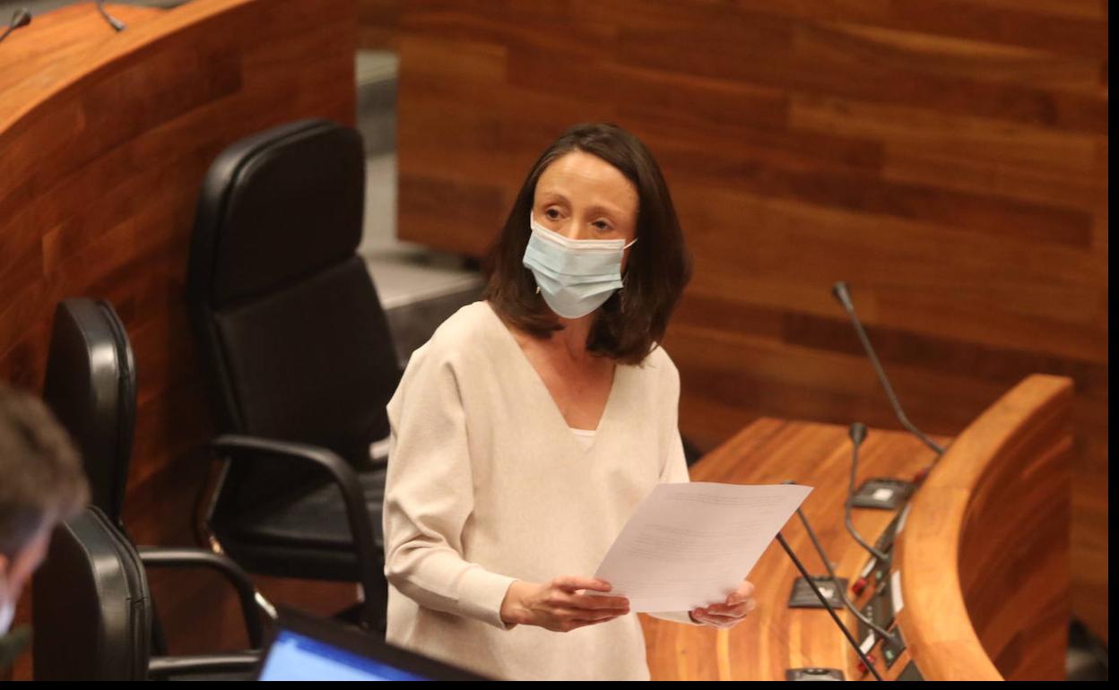 La consejera de Derechos Sociales y Bienestar, Melania Álvarez