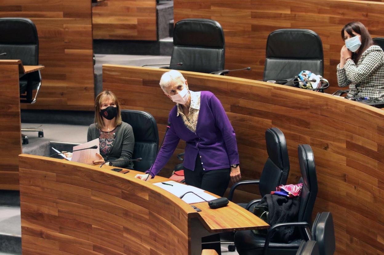 La consejera Carmen Suárez interviene en la Junta. 