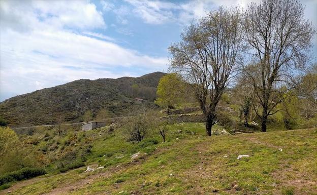 Praderías de Vegalafuente cercanas al tramo de pista. 