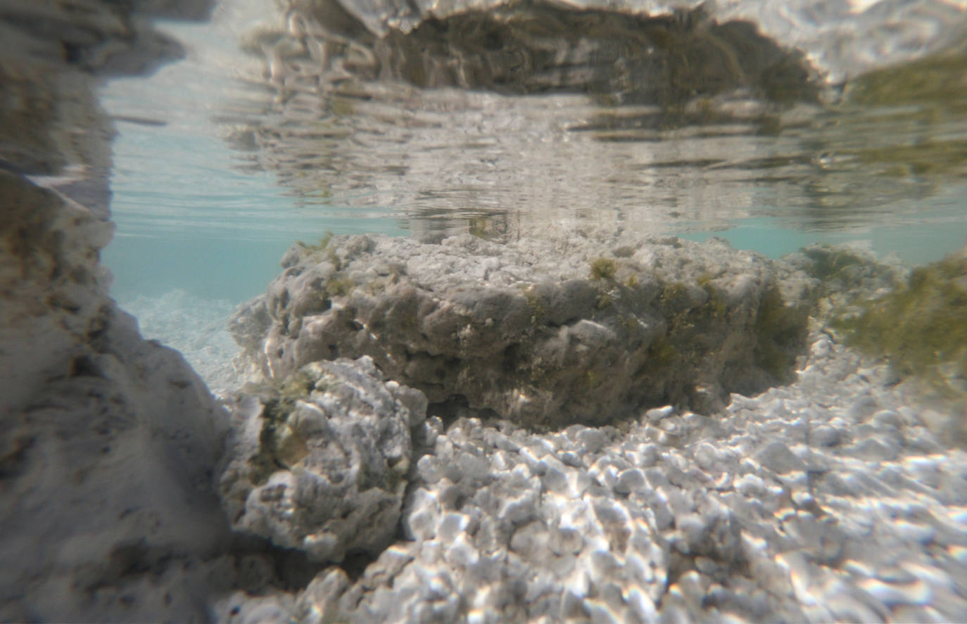 Un lago de unos 40 kilómetros cuadrados en el suroeste de Turquía ha atraído la atención de los científicos por las similitudes que ven con el cráter Jezero de Marte, donde aterrizó el explorador Perseverance de la NASA. Los investigadores creen que el lago Salda, en la provincia de Burdur, comparte características minerales y geológicas similares al cráter Jezero