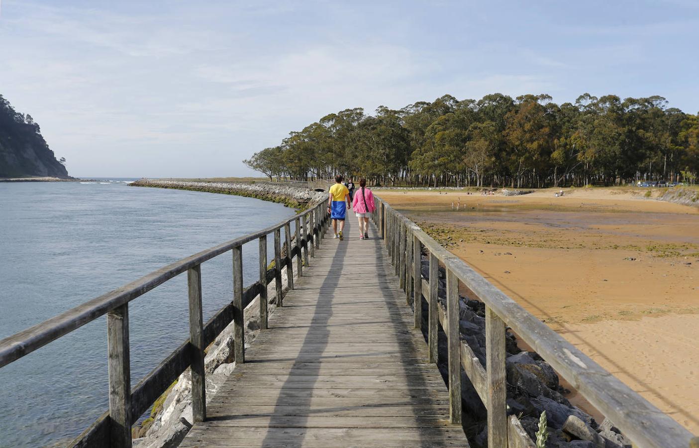 Ría de Villaviciosa: La Reserva Natural Parcial de la Ría de Villaviciosa es un espacio natural único en el que se conjugan elementos de río y de mar. Esta se abre cerca de Tazones y entre las playas de El Puntal y de Rodiles, para después irse estrechando poco a poco hasta llegar al centro de Villaviciosa. Un estuario considerado de alto valor ecológico en el que destaca su vegetación halófila y subhalófila, su importancia faunística, especialmente ornitológica, y la gran variedad de unidades que se generan en su interior. También hay que destacar la suavidad de los bosques que rodean los valles de la comarca y que convierten este paraje en uno de esos espacios naturales más impresionantes e ideales para la práctica de senderismo y otros deportes al aire libre. Sus inmediaciones fueron declaradas reserva natural parcial en 1995.