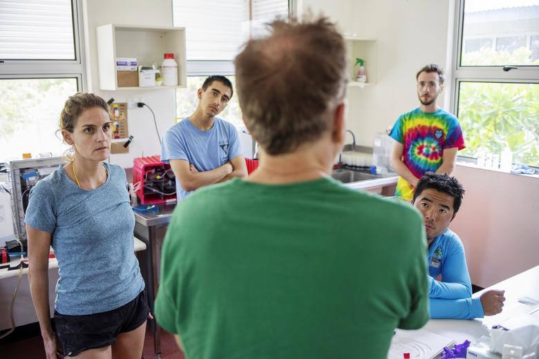 El cambio climático está causando el calentamiento de los océanos, la acidificación del medio ambiente marino y alteraciones en la pluviosidad, generando grandes pérdidas en la biodiversidad marina. Los investigadores se sumergen para la realización de análisis de corrientes y arrecifes.