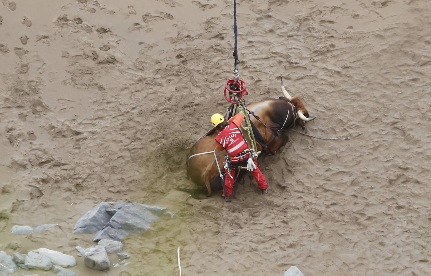 El helicóptero del Servicio de Emergencias del Principado rescató este miércoles a un toro de más de 800 kilos de peso, de nombre 'Bolero' tras precipietarse por un acantilado en Gozón.