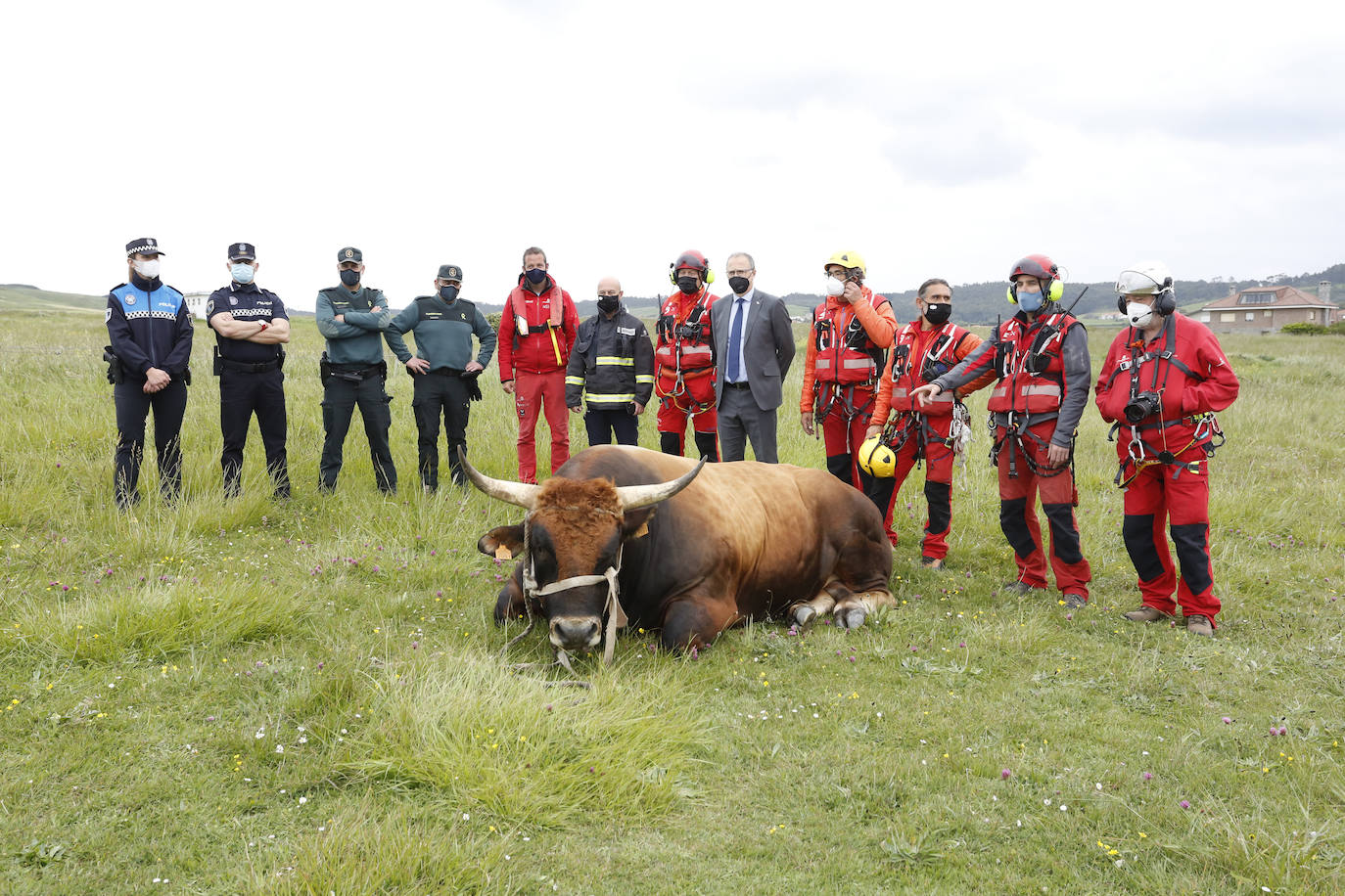 El helicóptero del Servicio de Emergencias del Principado rescató este miércoles a un toro de más de 800 kilos de peso, de nombre 'Bolero' tras precipietarse por un acantilado en Gozón.