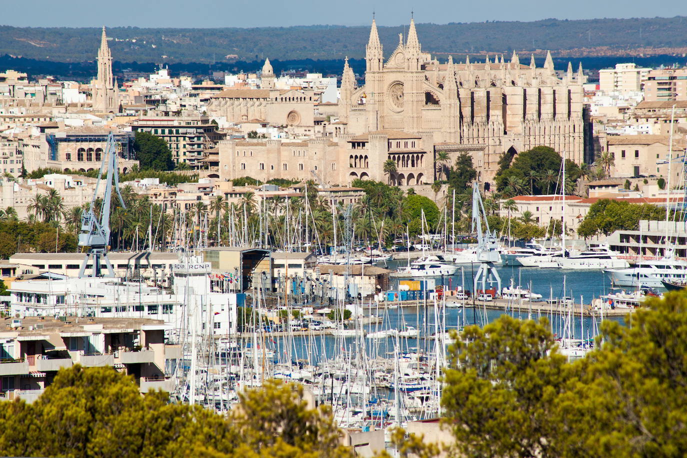 13. Palma de Mallorca | El 57% de sus vecinos están satisfechos con el lugar en el que residen según el estudio de la OCU