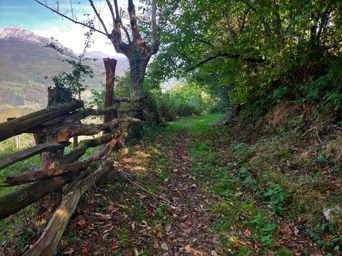 Uno de los tramos de la ruta a los  Molinos de Corroriu .