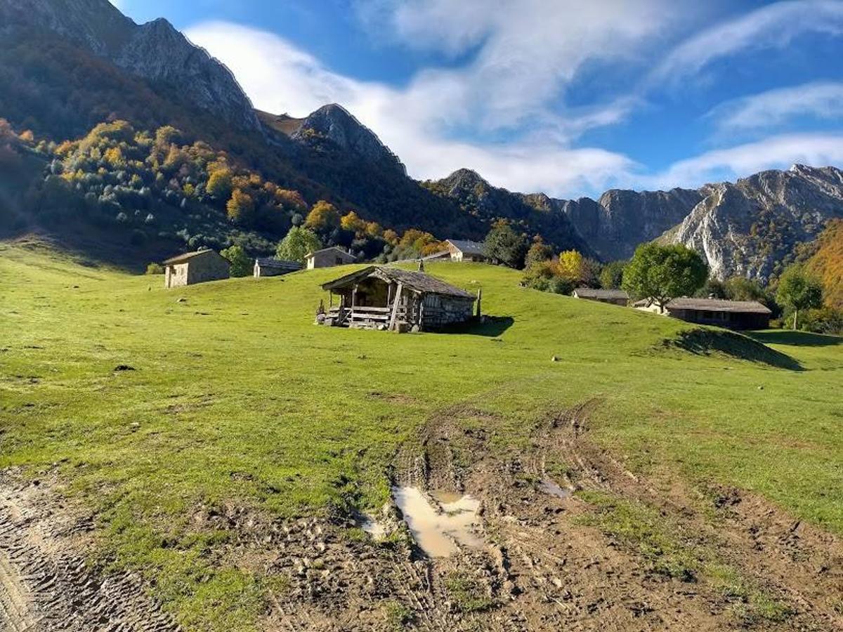 Cabañas de Brañagallones.