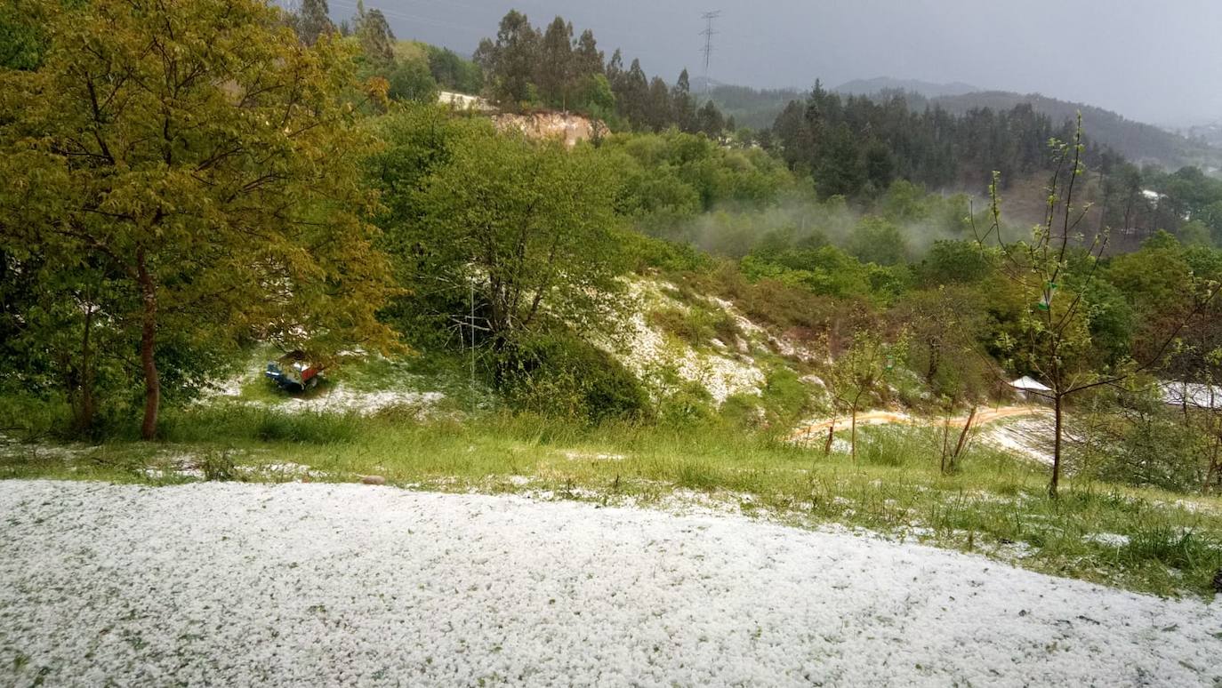 Las espectaculares tormentas de este lunes han descargado granizo en algunas zonas del centro asturiano. En Nava, por ejemplo, la granizada ha arruinado la mayor parte de la cosecha de arándanos. 