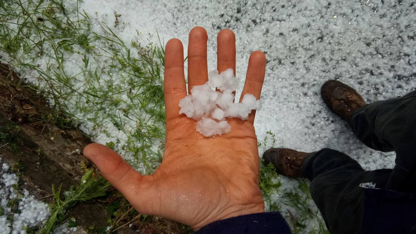 Las espectaculares tormentas de este lunes han descargado granizo en algunas zonas del centro asturiano. En Nava, por ejemplo, la granizada ha arruinado la mayor parte de la cosecha de arándanos. 