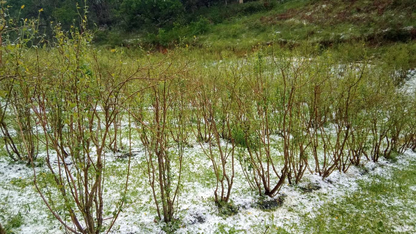 Las lluvias serán protagonistas durante toda esta semana en Asturias. La región ha vivido un lunes lluvioso, con cielos cubiertos que han dejado granizo en algunos puntos el interior. 