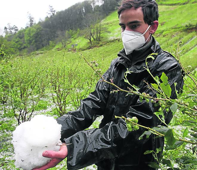 Rodrigo Llera muestra una bola de nieve acumulada. 