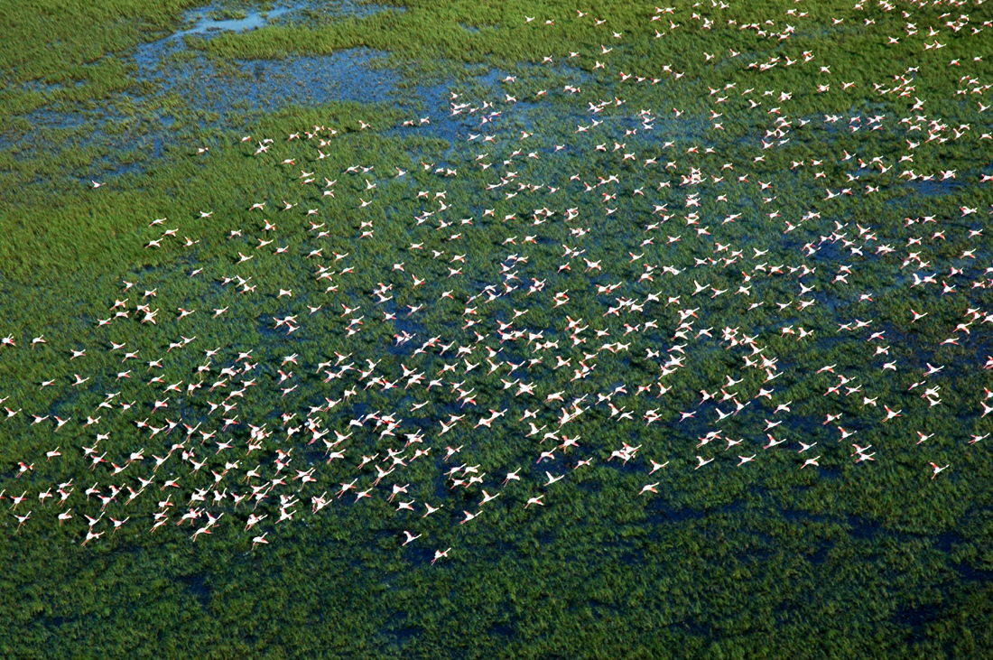 Reserva natural de Doñana en Huelva