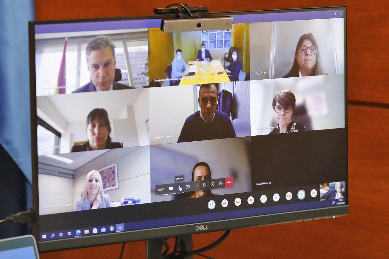 Resto de participantes en la videoconferencia grupal. 