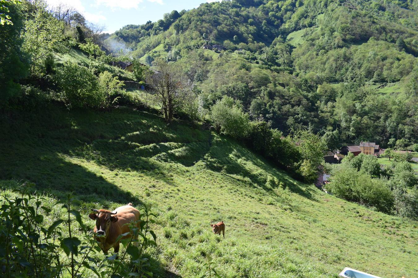 Fotos: Ruta al Pico Moros por el inicio de la Ruta les Fuentes