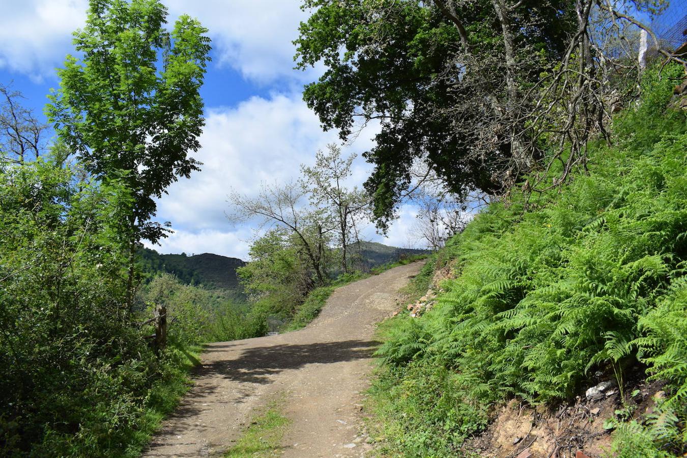 Fotos: Ruta al Pico Moros por el inicio de la Ruta les Fuentes