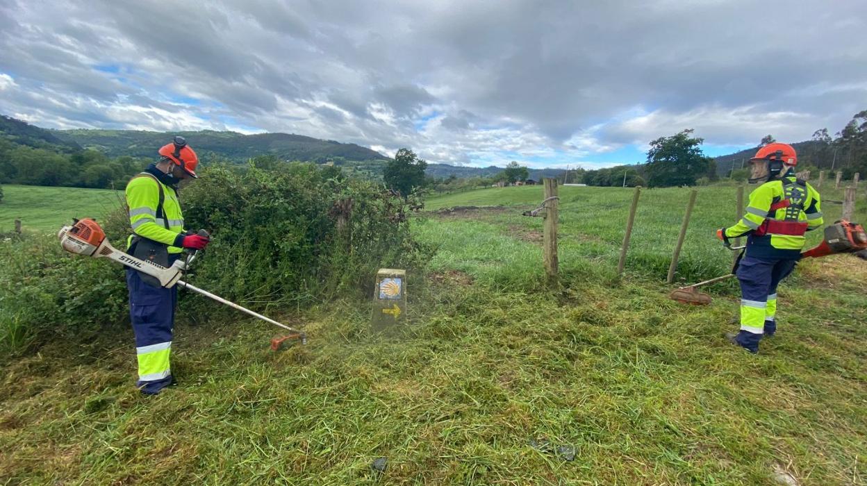 Trabajos del programa 'Joven ocúpate' en el Camino. 