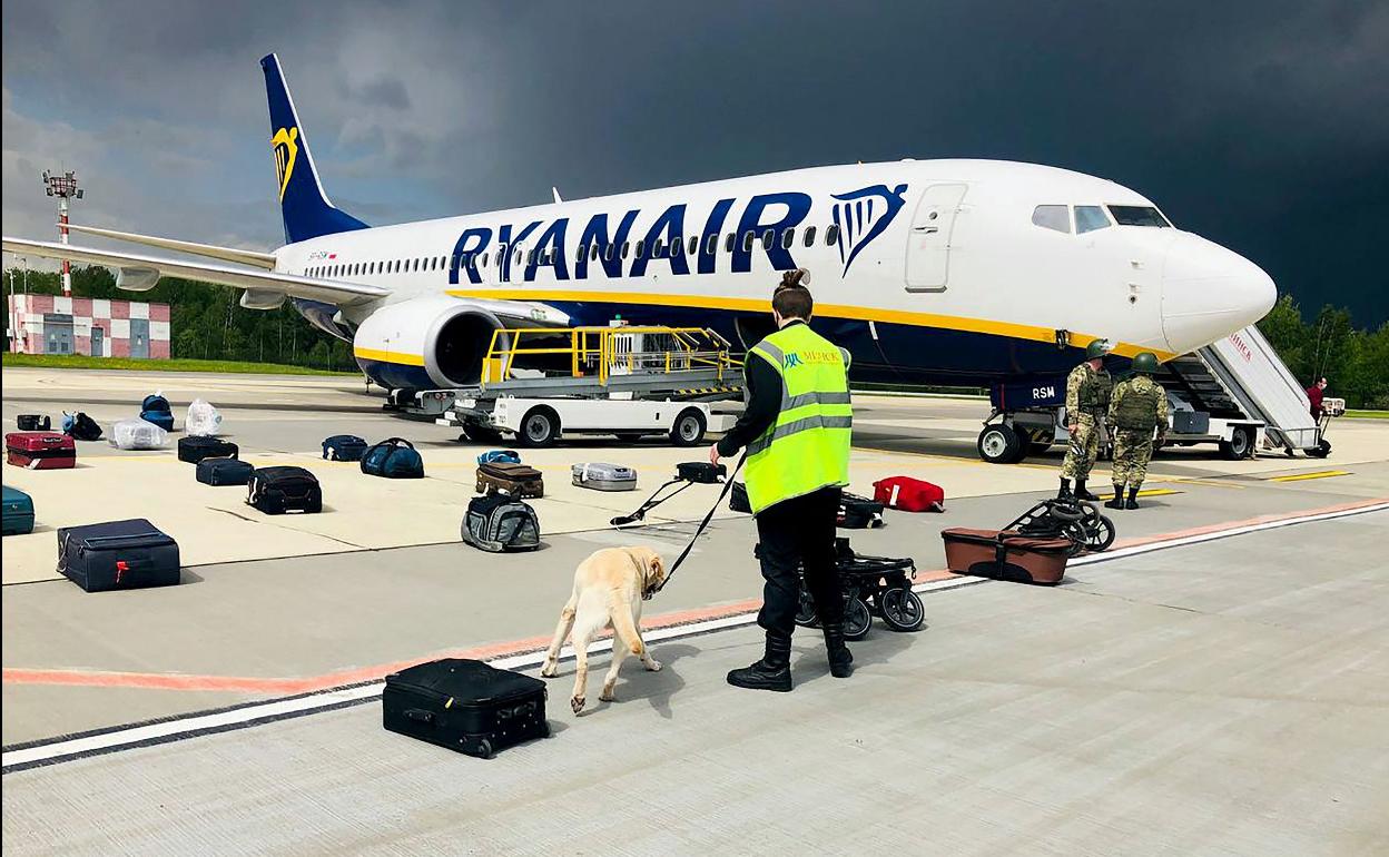 Un perro adiestrado en la búsqueda de explosivos examina el equipaje de los pasajeros del avión de Ryanair en el aeropuerto de Minsk.