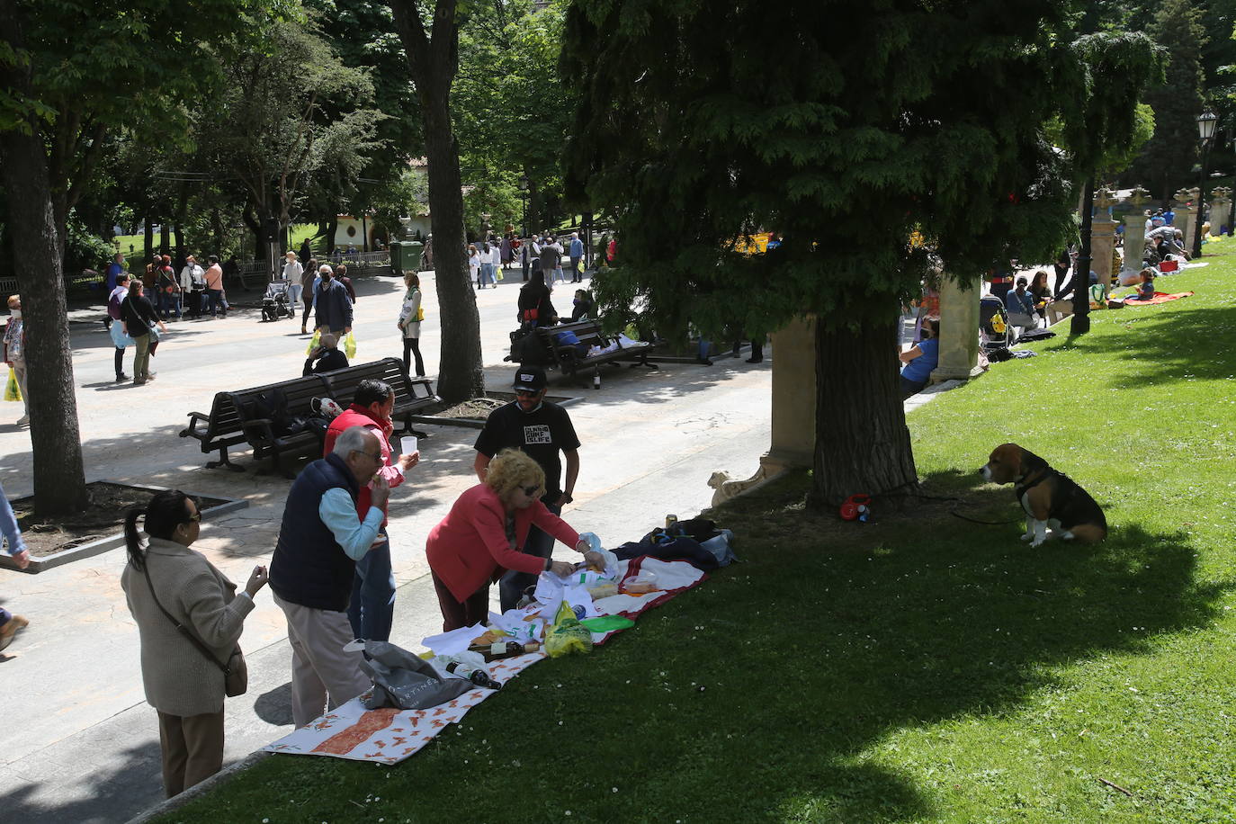 Miles de ovetenses disfrutaron del Martes de Campo. Se repartieron 4.000 bollos y botellas de vinos entre los socios de la Protectora de La Balesquida, en la que supone la primera edición desde que irrumpiera la pandemia. El Campo de San Francisco volvió a lucir repleto de vida, con familias y amigos disfrutando del tradicional bollo.