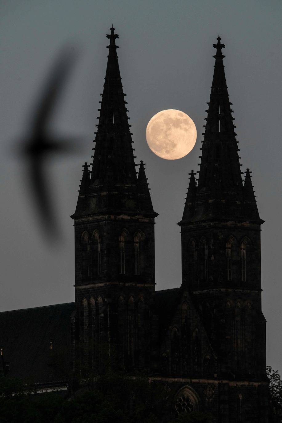 La madrugada del 26 de mayo tuvo lugar una espectacular cita astronómica ya que se produjo el eclipse lunar de 2021. Este fenómeno es denominado Luna de Sangre por sus características y peculiar colorido o Luna de Flores, nombre que le dieron las primeras tribus nativas americanas de agricultores, ya que coincide con la época de mayor florecimiento.