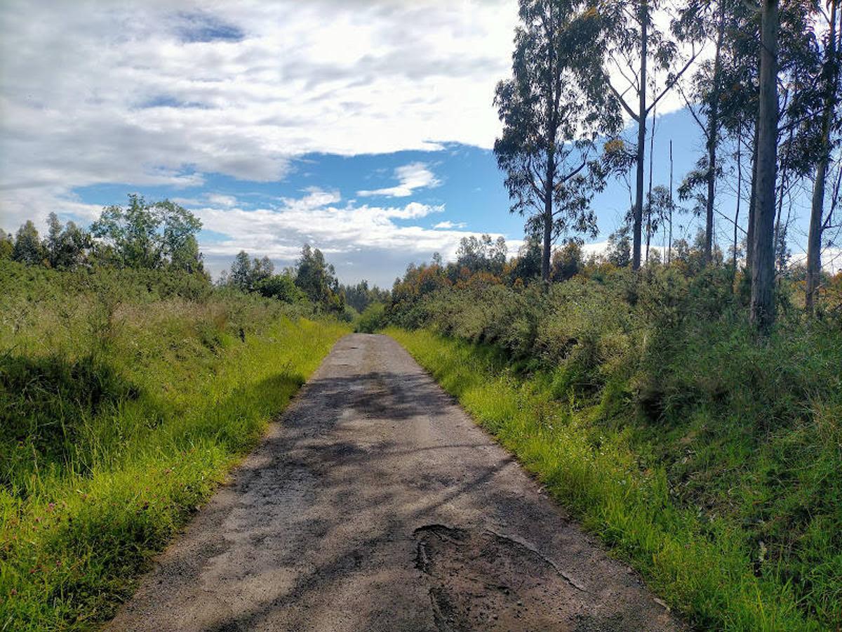 Fotos: Ruta a los dólmenes del Monte Areo