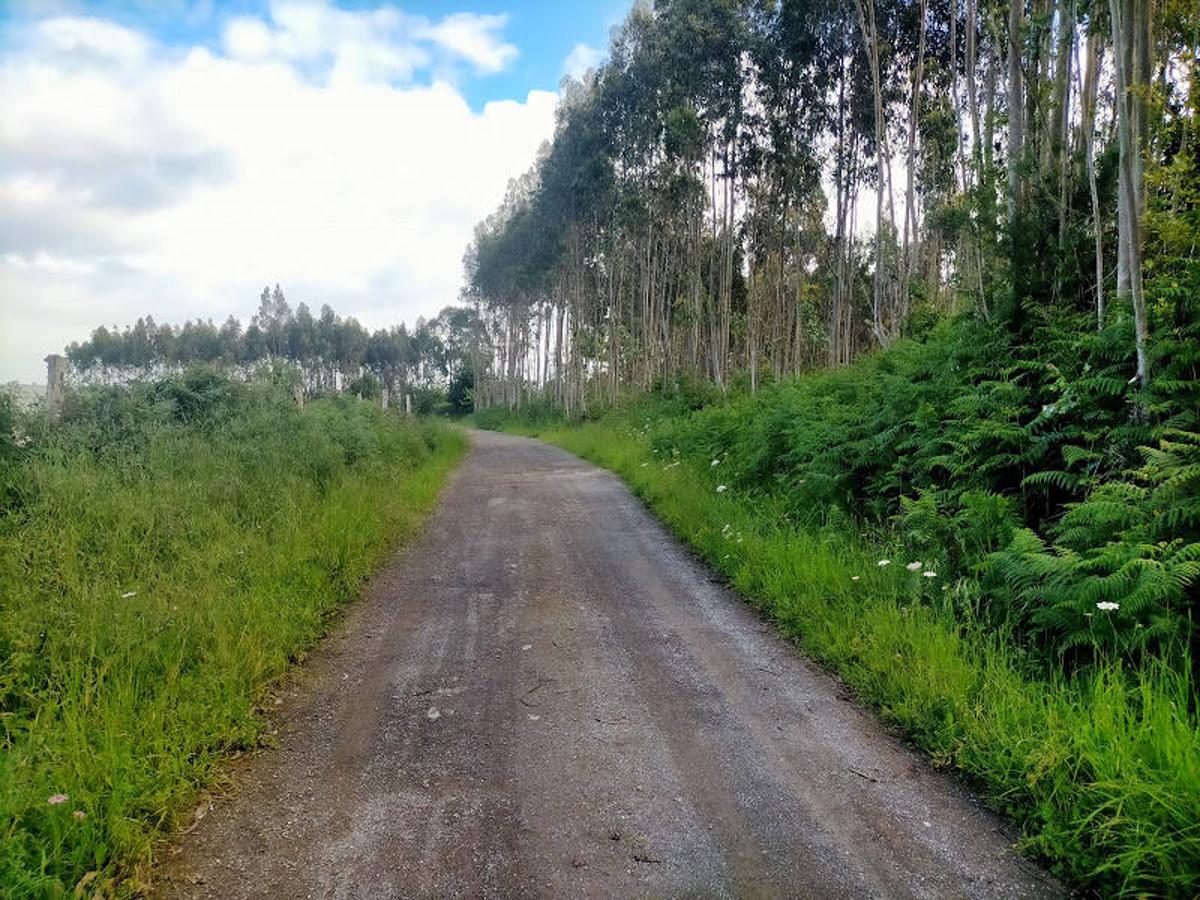 Fotos: Ruta a los dólmenes del Monte Areo