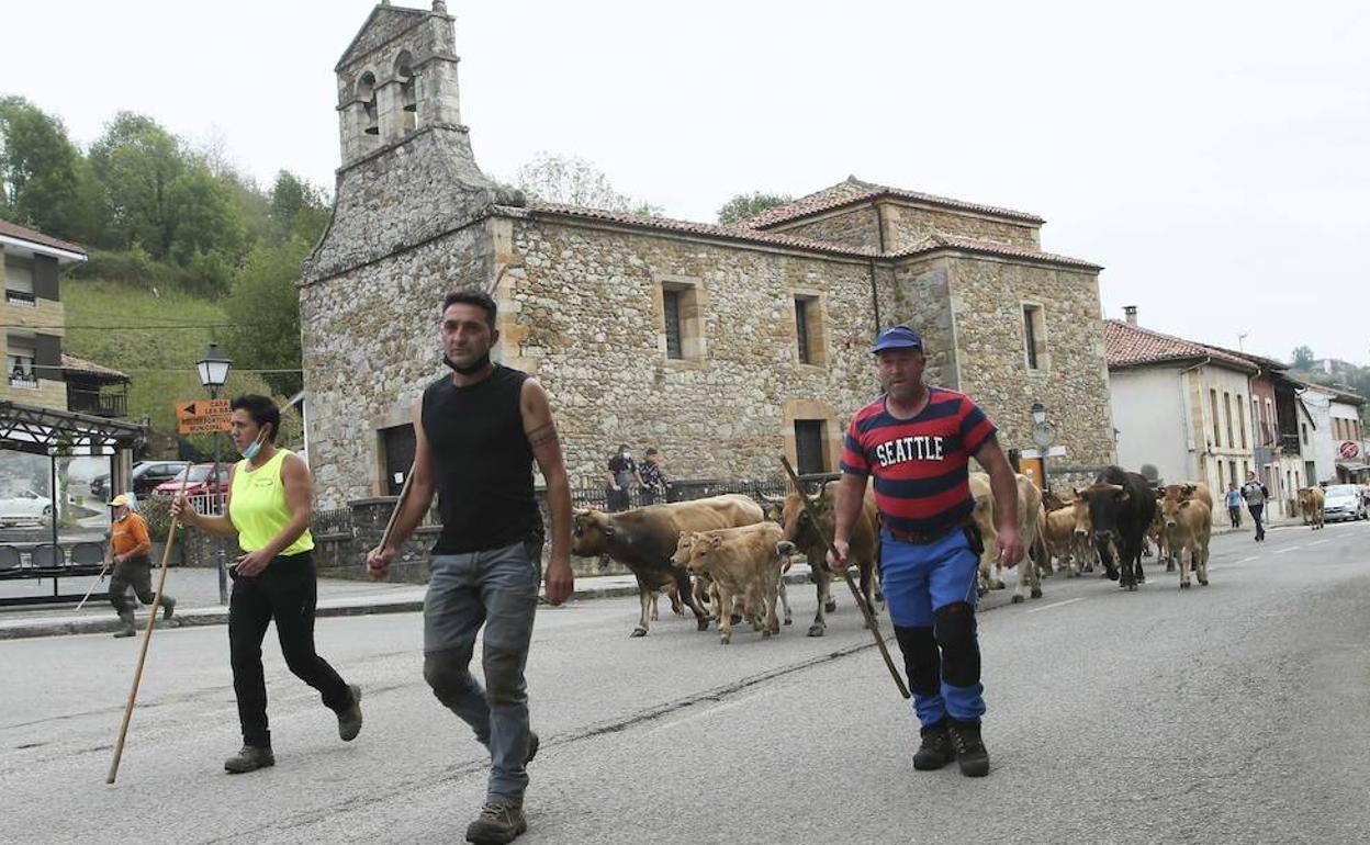 La marcha ganadera a su paso por San Julián, presidida por Isabel Pruneda (primera por la izquierda). 