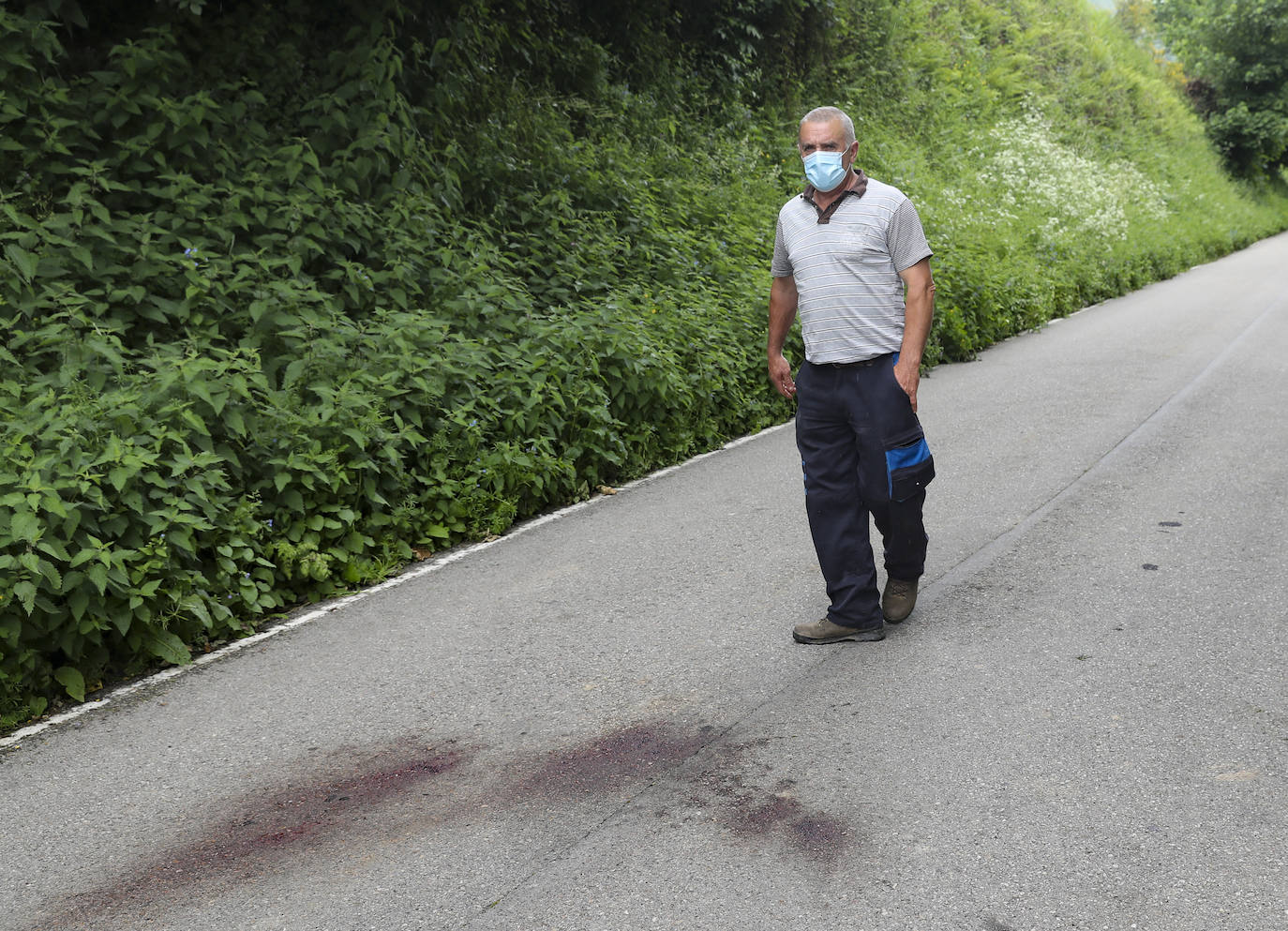 El guarda mayor de la Patrulla Oso del Principado, Miguel Fernández Otero, acompañado por efectivos del Seprona de la Guardia Civil, mantienen activo un dispositivo que vigila los bosques próximos a Sonande, donde tuvo lugar el incidente. El objetivo es «comprobar que nada se salga de lo normal, asegurarnos que no es un oso agresivo y problemático», indican.