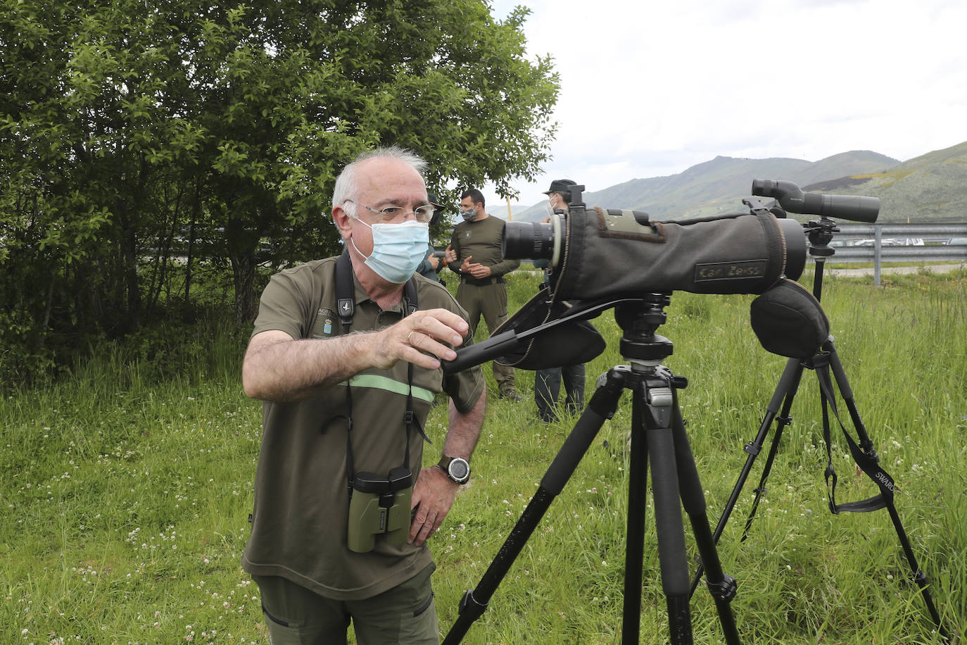 El guarda mayor de la Patrulla Oso del Principado, Miguel Fernández Otero, acompañado por efectivos del Seprona de la Guardia Civil, mantienen activo un dispositivo que vigila los bosques próximos a Sonande, donde tuvo lugar el incidente. El objetivo es «comprobar que nada se salga de lo normal, asegurarnos que no es un oso agresivo y problemático», indican.