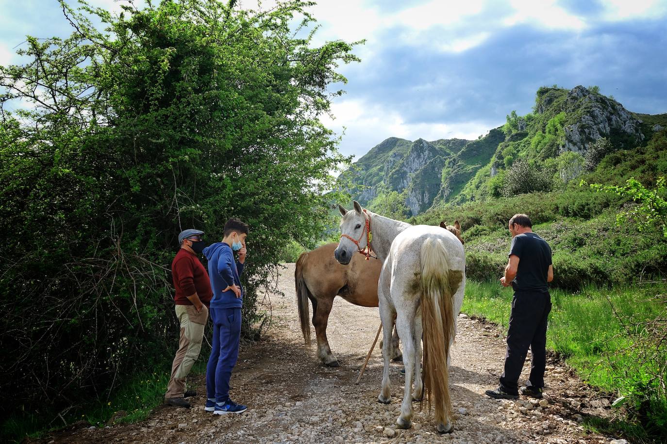 Como cada 1 de junio, los pastores ponen rumbo a los pastos de montaña, donde permanecerán hasta el otoño cuidando de sus animales y elaborando queso.