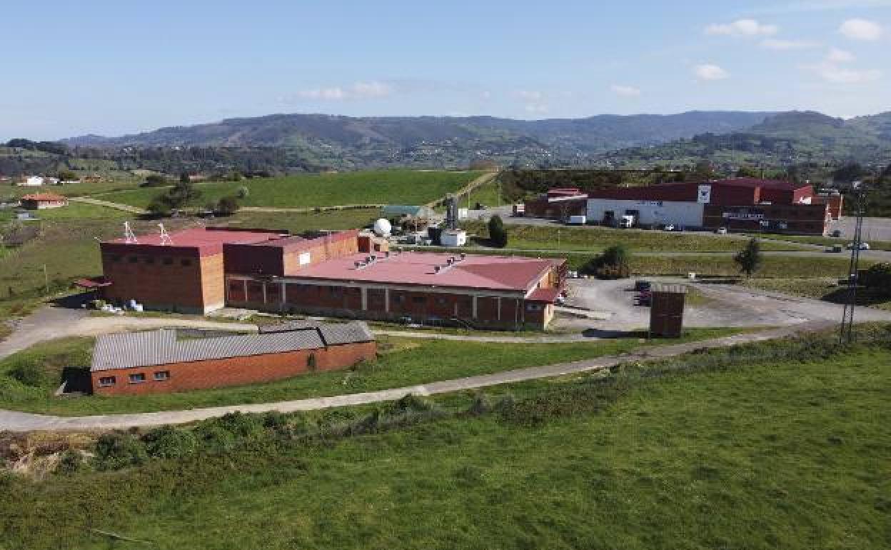 Zona en la que se quiere ubicar la estación de ITV.