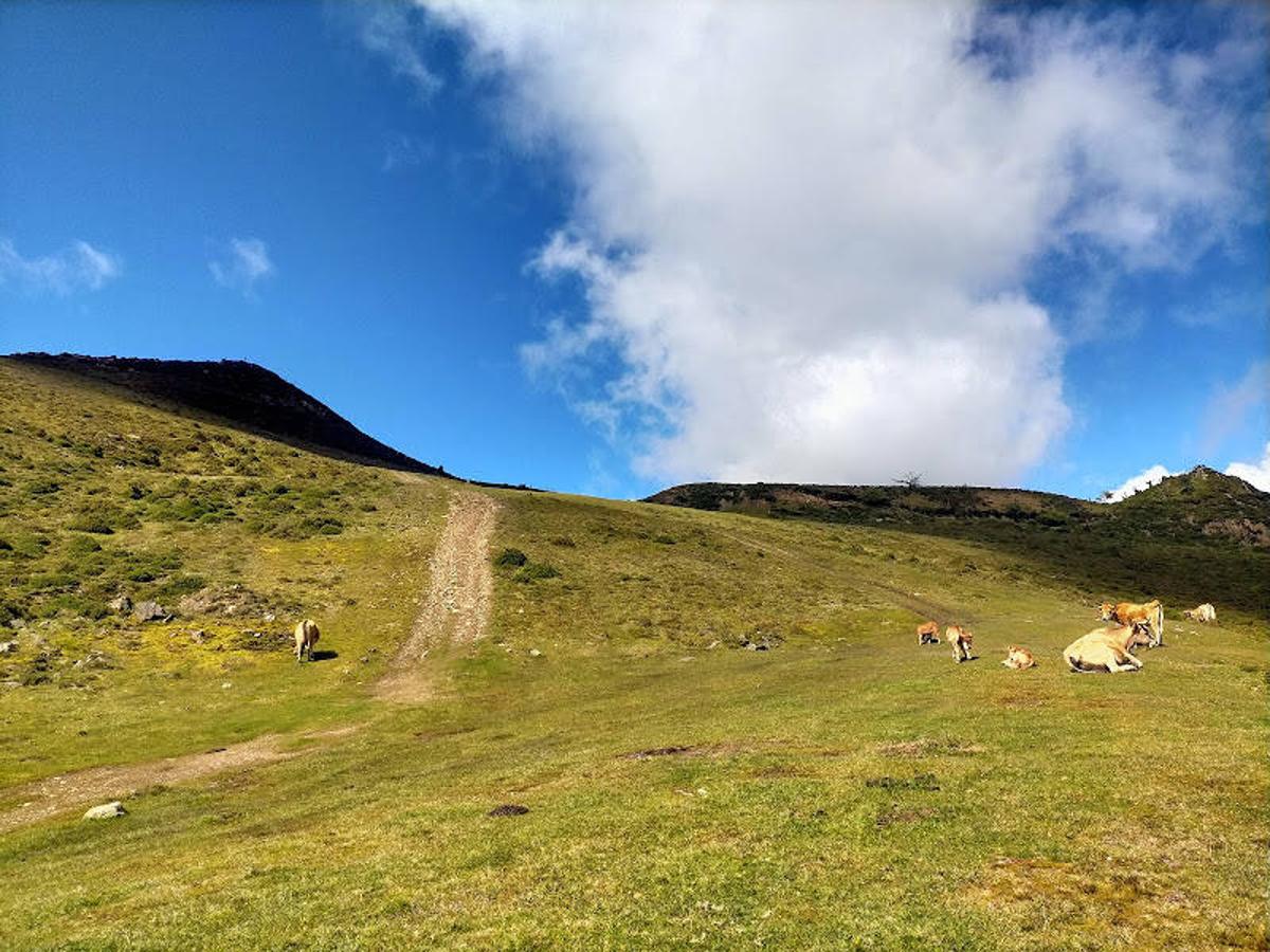 Fotos: Ruta al Pico Seana, Roíles y Llosorio