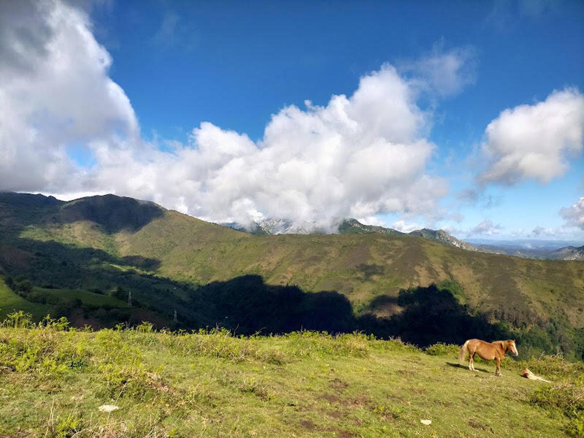 Fotos: Ruta al Pico Seana, Roíles y Llosorio