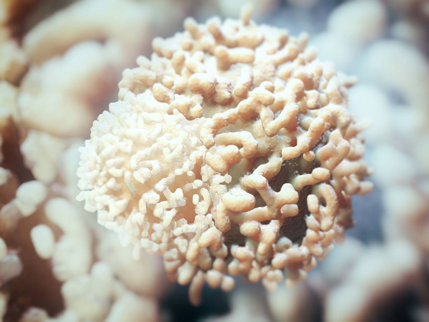 Los científicos identifican cómo prevenir las metástasis del cáncer