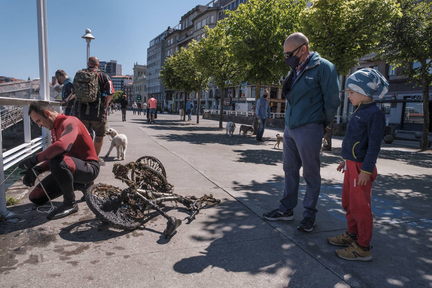 Con motivo del Día Mundial del Medioambiente, una veintena de buzos voluntarios procedió a retirar los residuos del fondo marino de la dársena interior del Puerto Deportivo de Gijón. Llegaron a sacar a tierra baterías, carros de la compra y hasta una bicicleta.