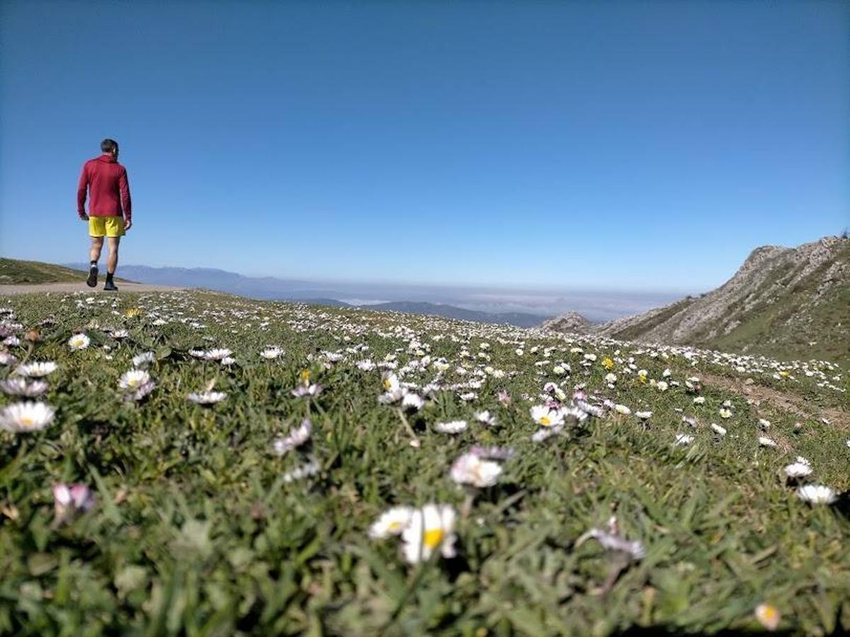 La primavera vista desde la ruta al  Pico Peñamayor  desde Les Praeres.