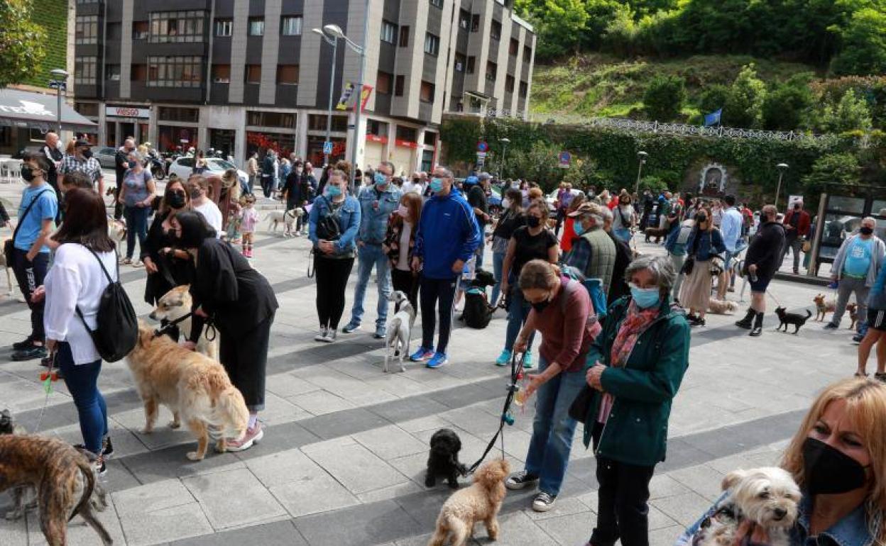 Decenas de propietarios de perros se concentraron ayer en la plaza del Ayuntamiento de Mieres contra la nueva ordenanza.