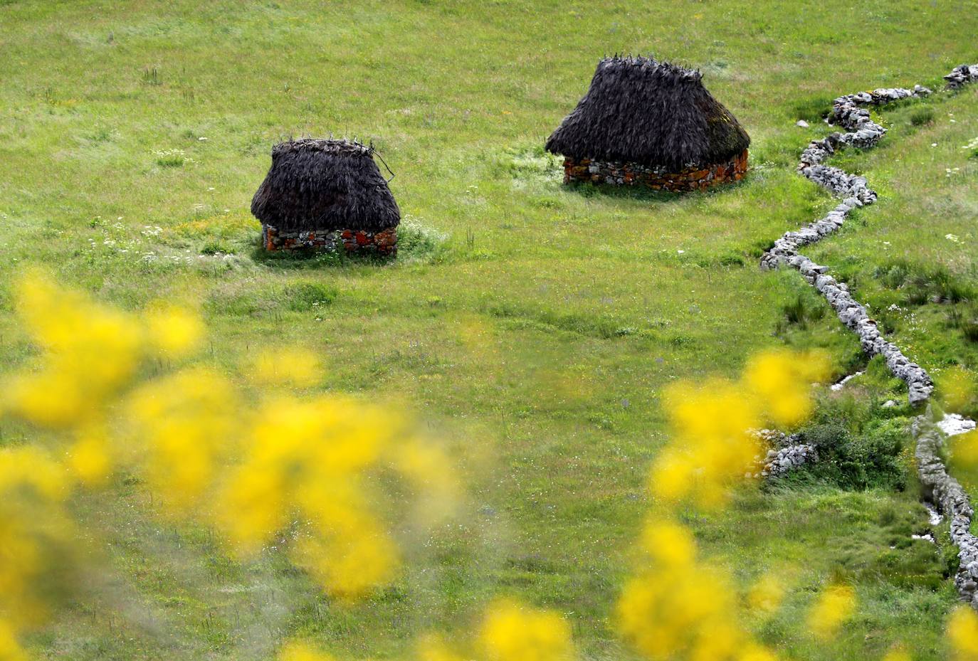 Se cumplen 33 años desde que Somiedo fue declarado Parque Natural en 1988. Se trata de uno de los espacios protegidos mejor conservados y más importantes de Asturias, ya que desde el año 2000 es considerado Reserva de la Biosfera. Un espacio de naturaleza pura en el que sus paisajes, su fauna, su flora, su gastronomía y sus gentes hacen de este rincón un lugar privilegiado.