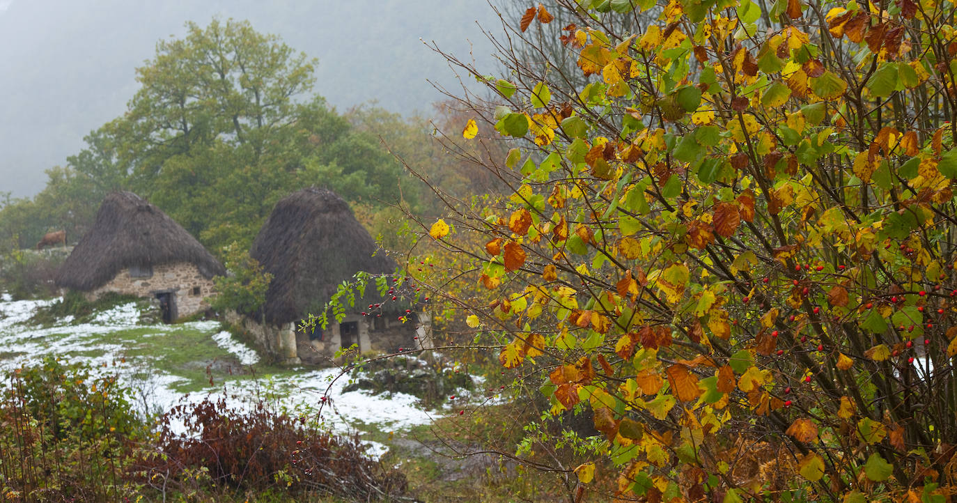 Se cumplen 33 años desde que Somiedo fue declarado Parque Natural en 1988. Se trata de uno de los espacios protegidos mejor conservados y más importantes de Asturias, ya que desde el año 2000 es considerado Reserva de la Biosfera. Un espacio de naturaleza pura en el que sus paisajes, su fauna, su flora, su gastronomía y sus gentes hacen de este rincón un lugar privilegiado.