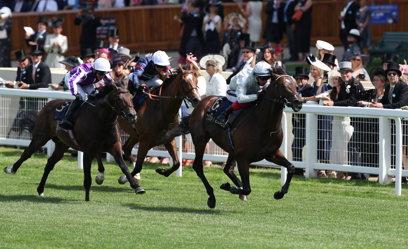 Las carreras de caballos de Ascot representan uno de los grandes acontecimientos sociales del Reino Unido. Durante tres jornadas la alta sociedad británica se reune en esta cita ecuestre que se ha convertido en un espectáculo de lujo, glamour y excesos donde los sombreros son los protagonistas. 