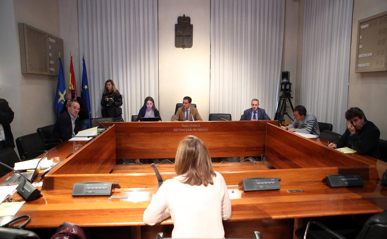 Comparecencia de la exconsejera de Administraciones Públicas, Ana Rosa Migoya, ante la Comisión parlamentaria de investigación sobre Gitpa, en 2016 