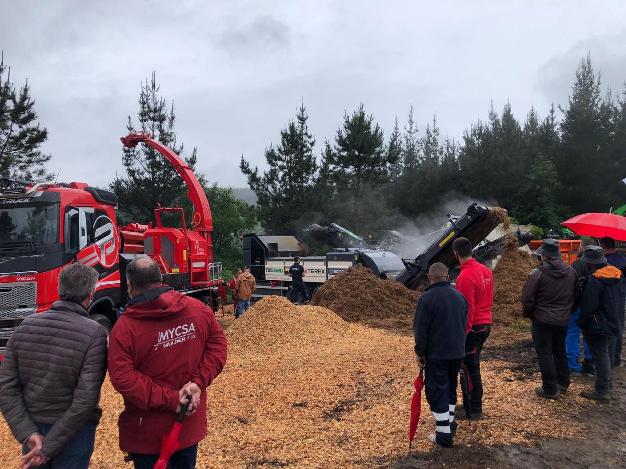 Un grupo de visitantes contempla una de las demostraciones de la maquinaria expuesta en Asturforesta. 