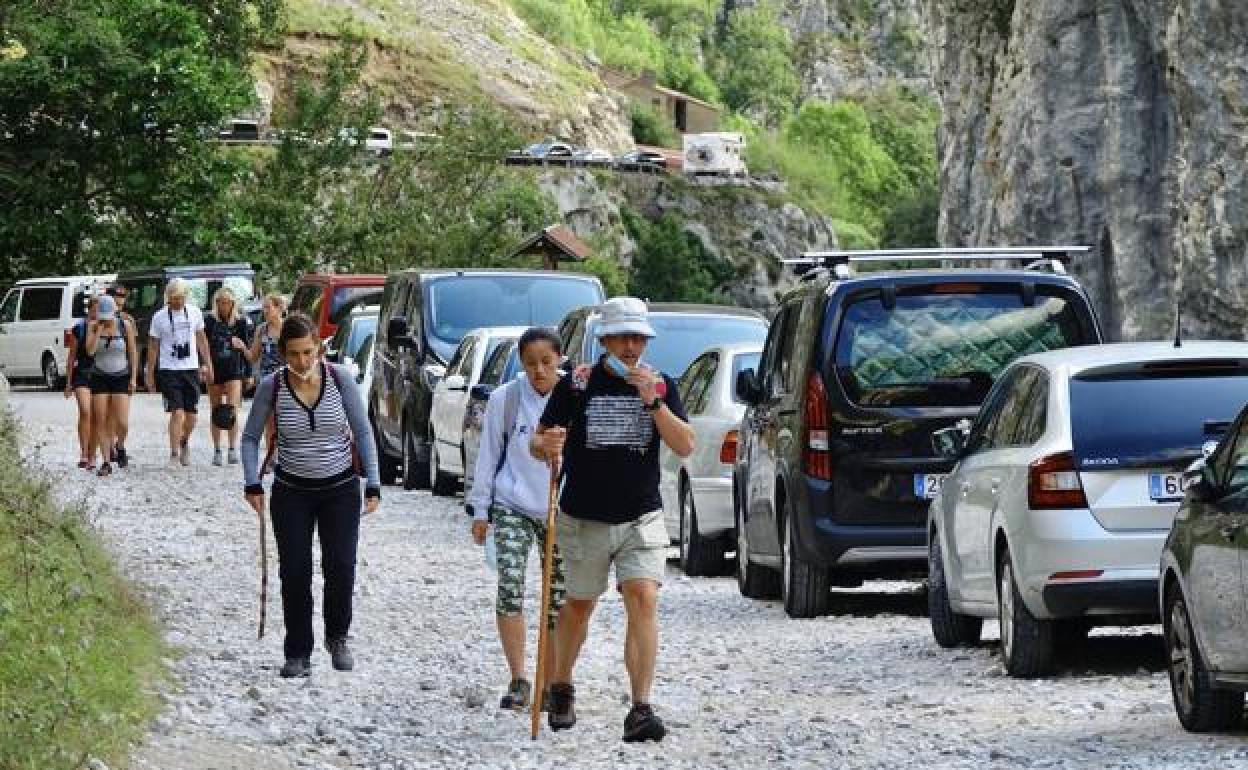 La ruta de autobús entre Arenas de Cabrales y Sotres con paradas en Poncebos y Tielve