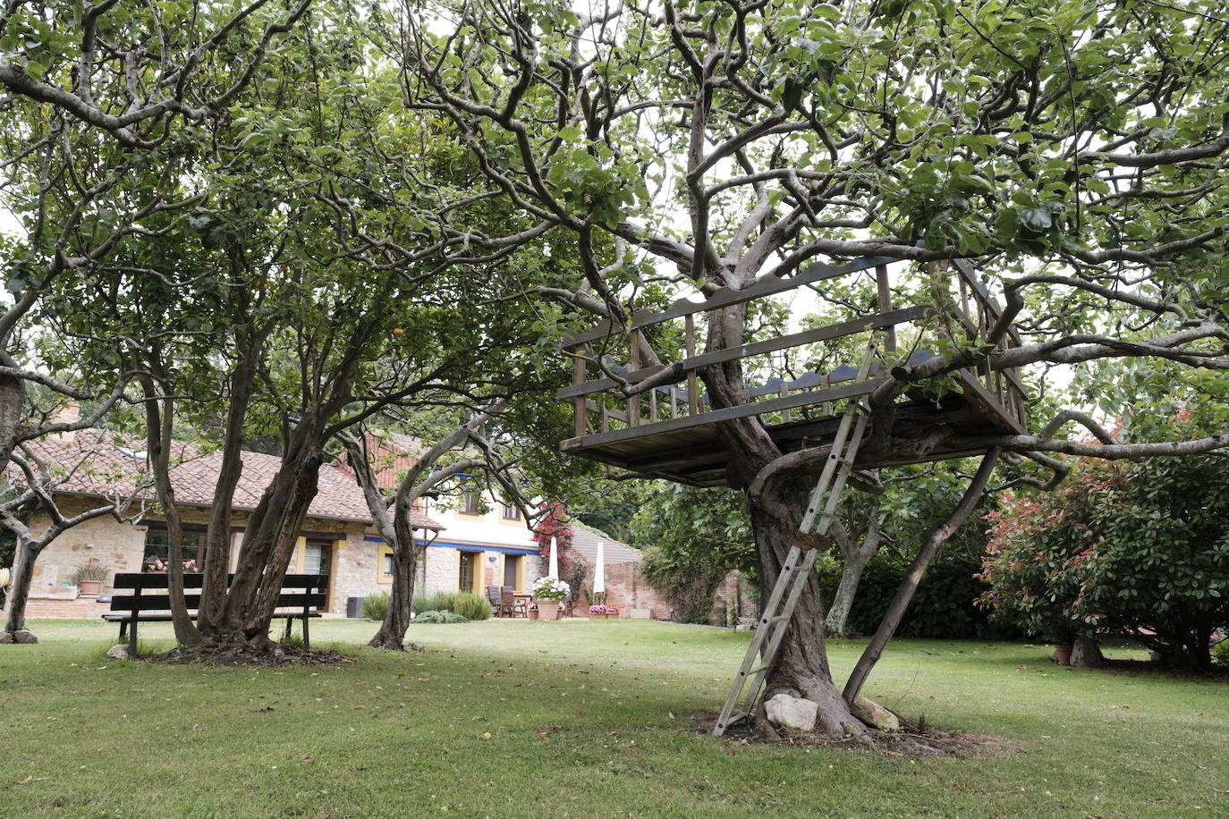 Con más de doscientos años de antigüedad y rodeada de chalets y urbanizaciones encontramos en Somió el hogar de Tomás del Campo Díaz-Laviada y Carmen Collantes Herrera. El matrimonio ha logrado transformar este conjunto de vivienda tradicional asturiana, que cuenta con una casa, cuadra, llagar y panera