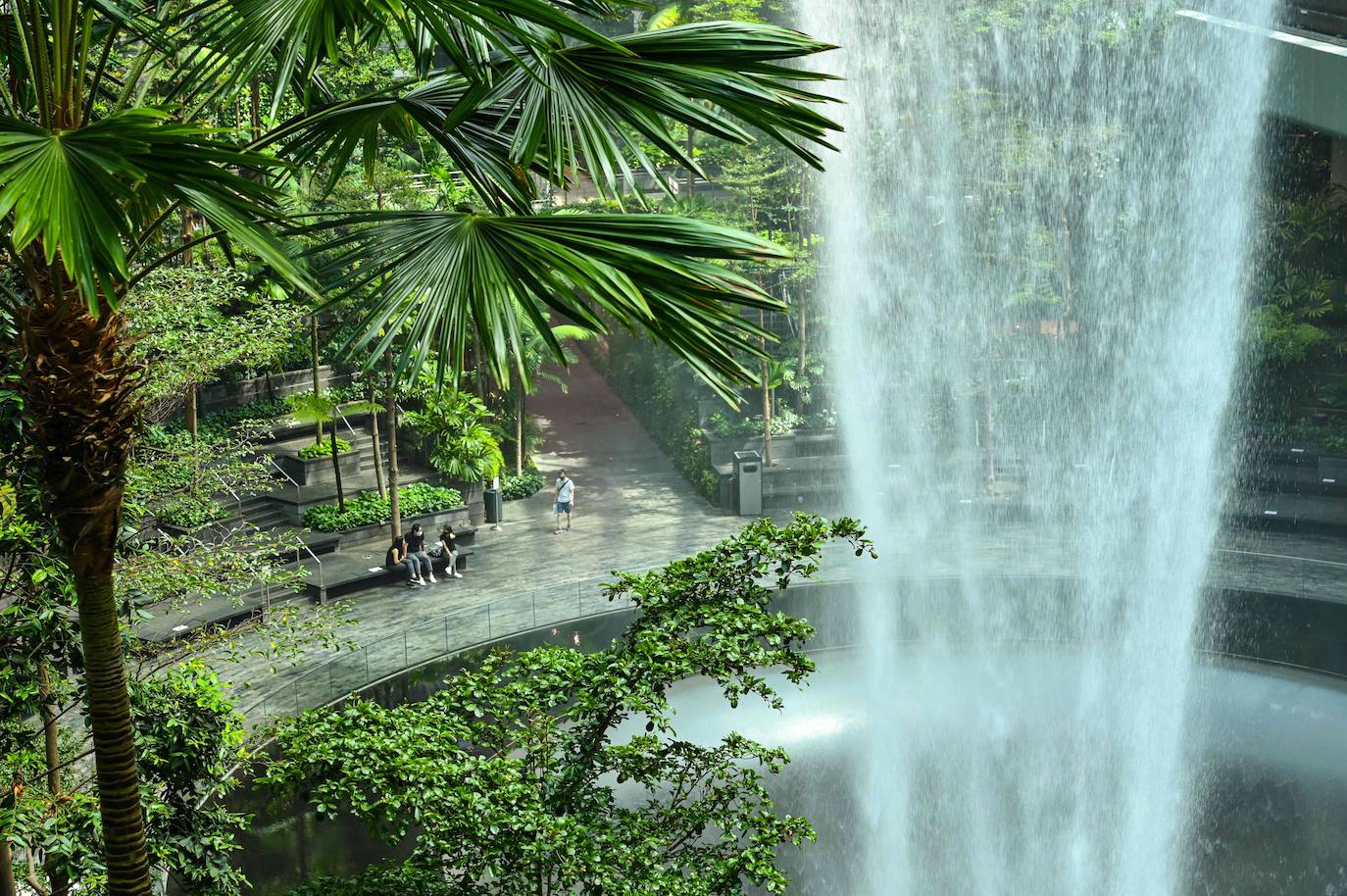 Jewel Changi es un espacio de ocio y entretenimiento que se une al complejo del aeropuerto Changi de Singapur, elegido el mejor del mundo en 2019. Se trata de un homenaje a la ciudad asiática de los edificios futuristas y los jardines inmensos, en el que la luz natural y el verde inundan cada rincón.