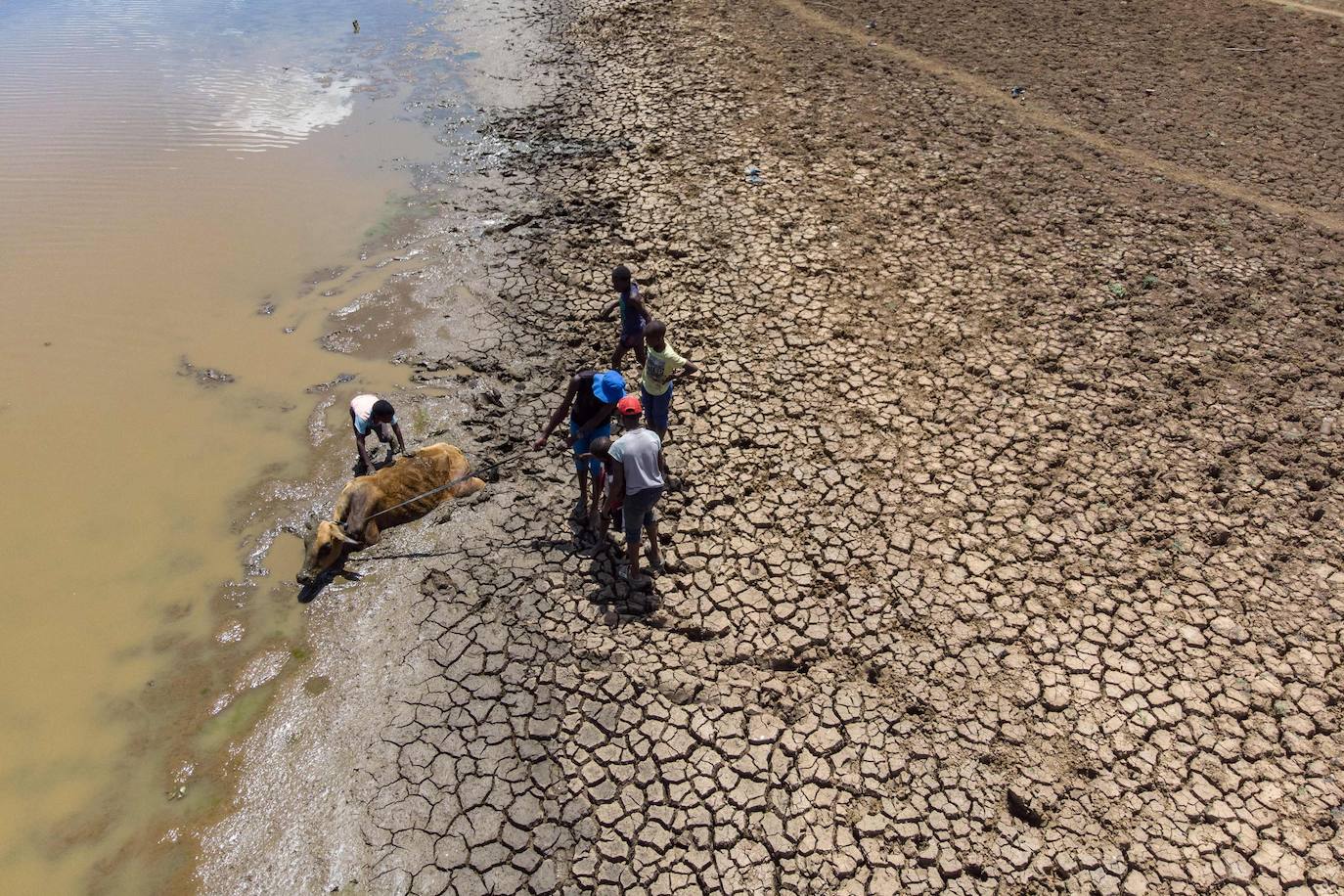 Después de un año de pandemia en el que el mundo ha dado un vuelco, el informe del Panel Intergubernamental de la ONU sobre Cambio Climático ofrece una visión angustiosa de las próximas décadas: desnutrición, inseguridad hídrica y pestilencia.El hambre, la sequía y las enfermedades afectarán a decenas de millones de personas más.