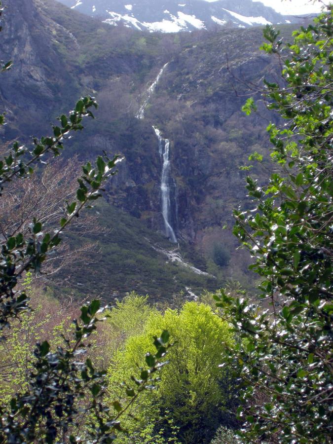 Cascada Tabayón de Mongayu (Asturias): La Cascada del Tabayón del Mongayu es un salto de agua de unos 60 metros de altura que encontrarás en el corazón de Asturias e integrada en la belleza del Parque Natural de Redes. Un espectacular salto de agua declarado Reserva de la Biosfera por la Unesco en 2001 y Monumento Natural en 2003, al que se puede acceder por una agradable ruta circular de 11,7 km.